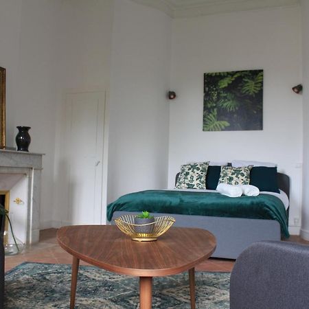 Paul Sabatier-T1-Vue Sur Jardin-Luxe-Wifi-Fi-Velo Apartman Castelnaudary Kültér fotó